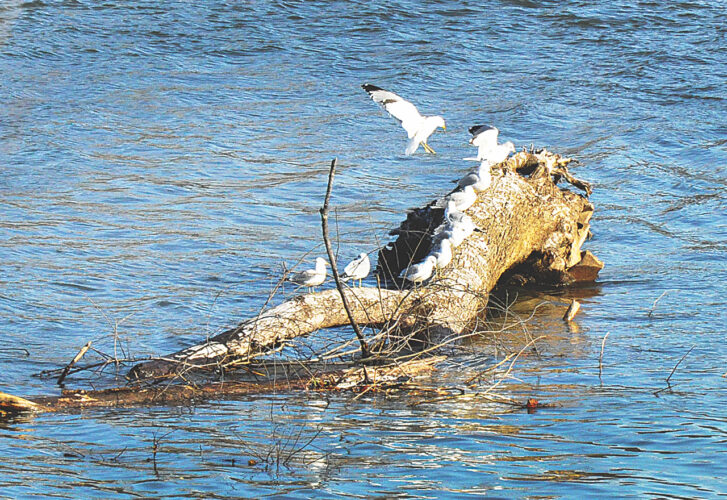 Touching down